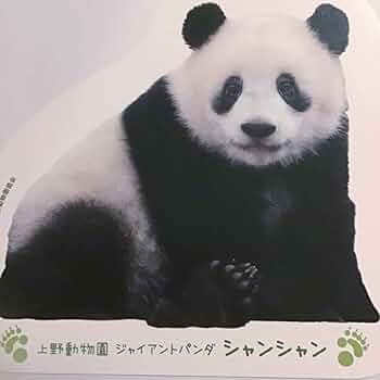 51+P30BDplL._UF350,350_QL50_.jpg